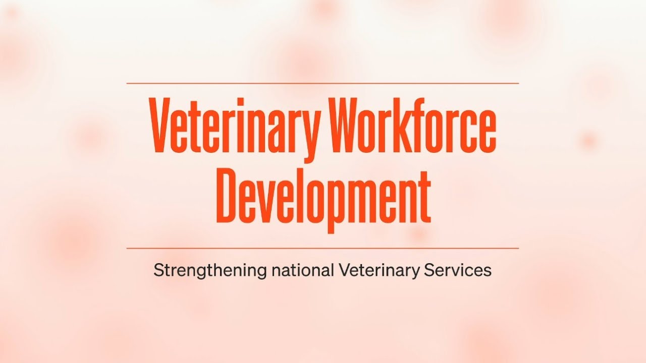 Veterinary Workforce Development