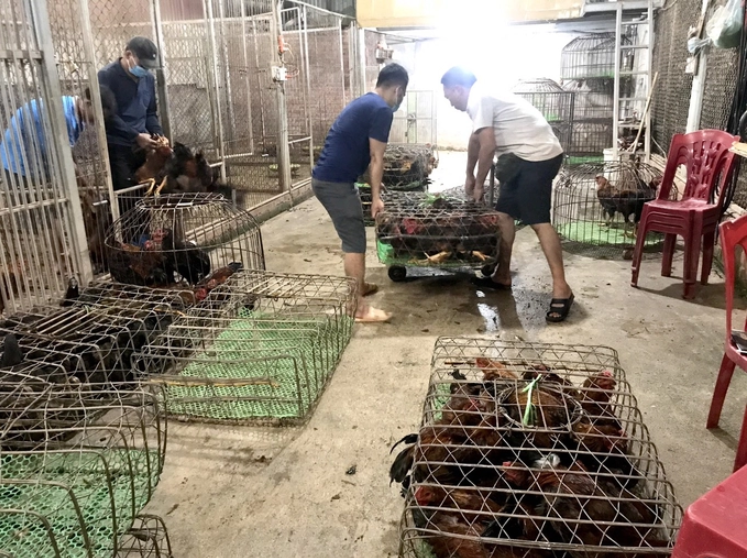 Đề nghị Bộ Quốc phòng, Bộ Công an phối hợp xử lý buôn lậu gia cầm