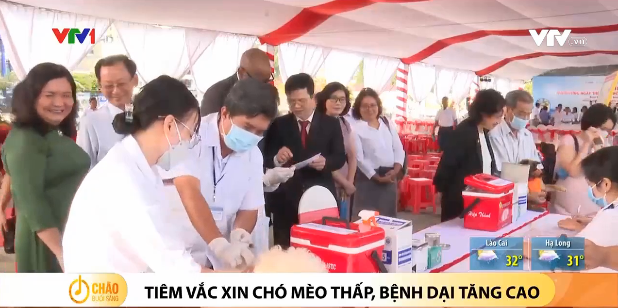 Tiêm vắc xin chó mèo thấp, bệnh dại tăng cao - Chào buổi sáng 06.10.2022