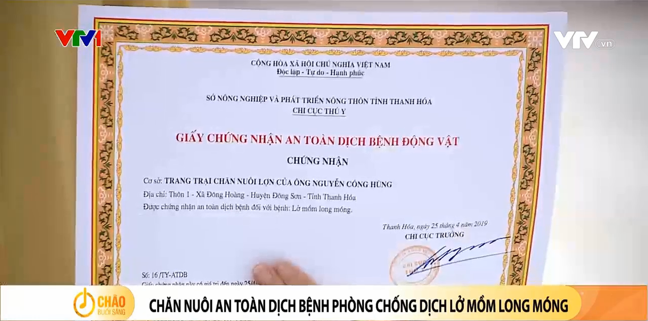 Xây dựng Vùng ATDB Lở mồm long móng Thanh Hoá - Chào buổi sáng 24.11.2022